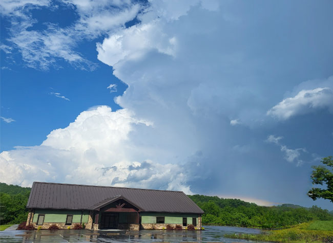 Modern dental office building with brown roof nestled in lush green hillside under blue sky with clouds.